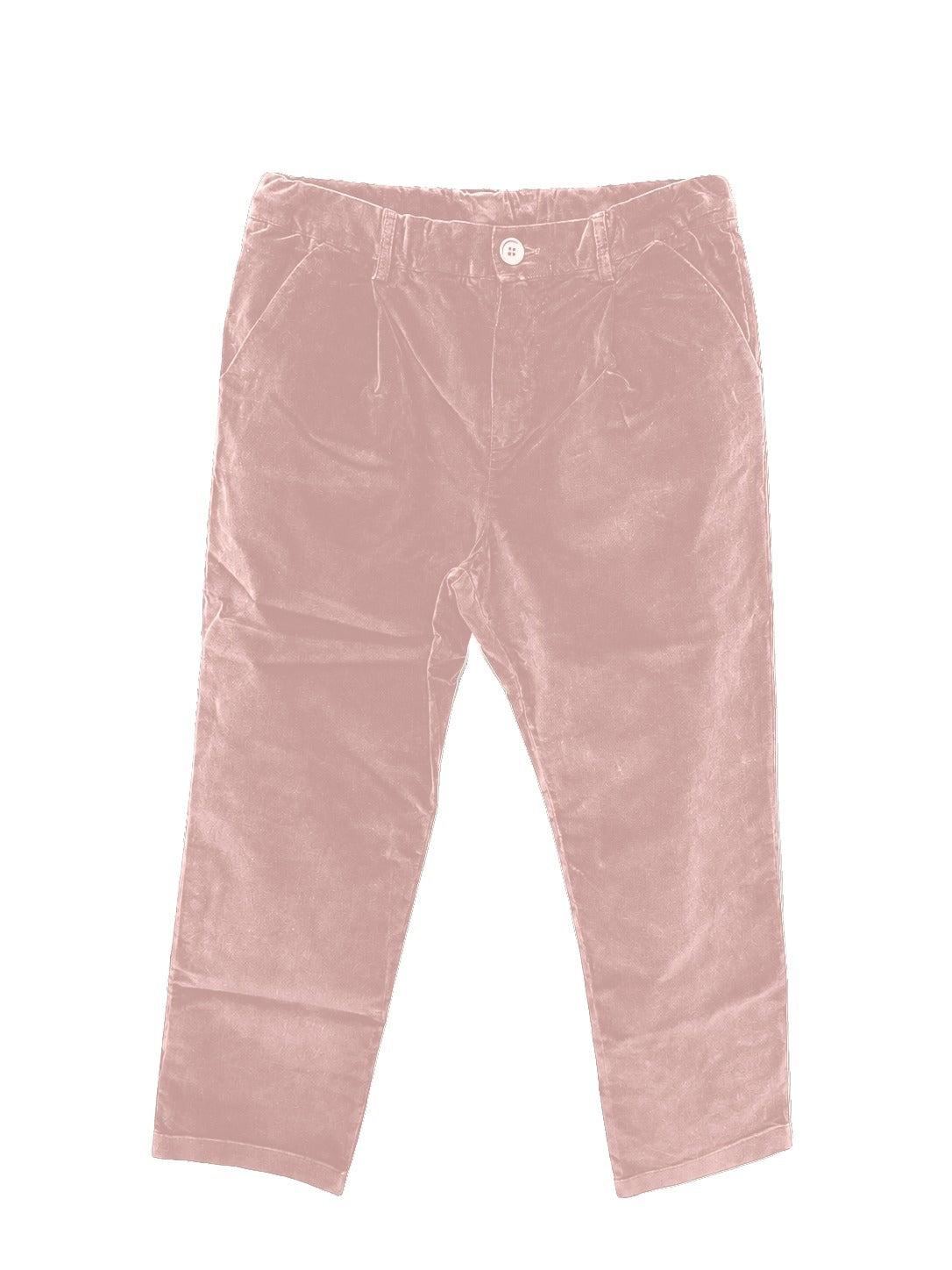 FIORILE 1627 - Cameo Rose