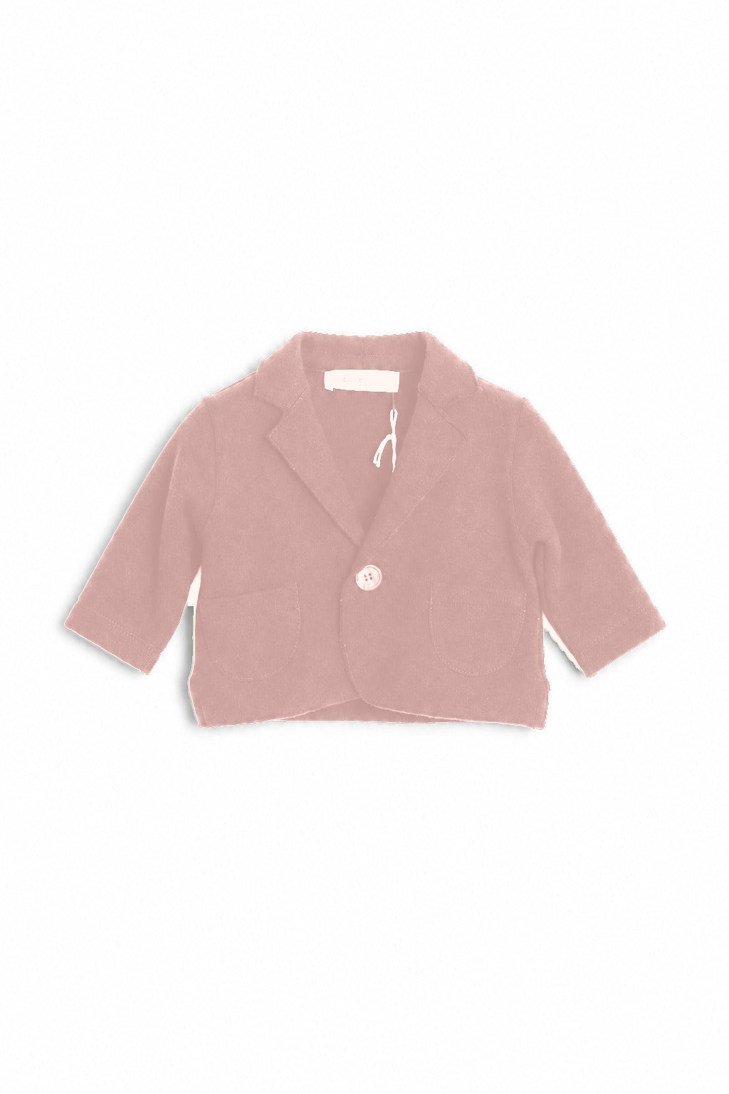 FIORILE 1888 - Cameo Rose