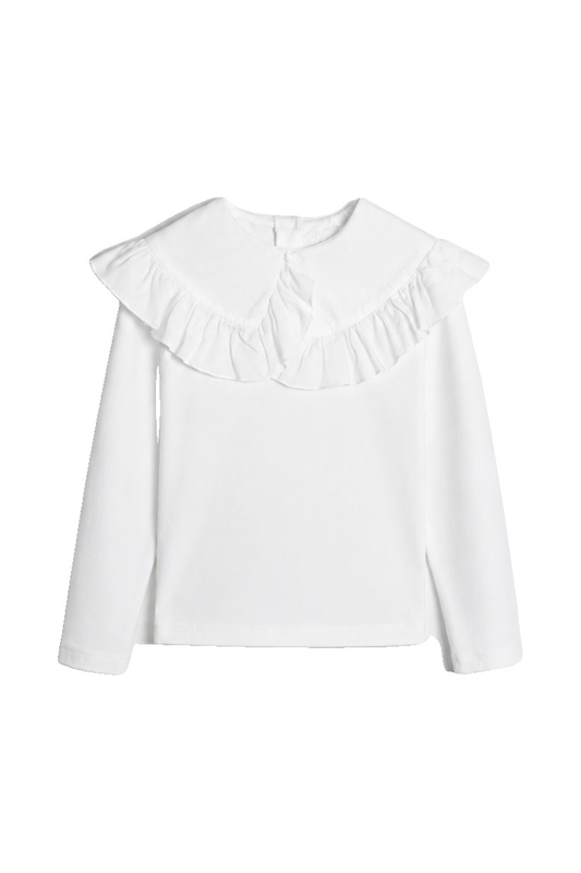 1722 Polo Bimba