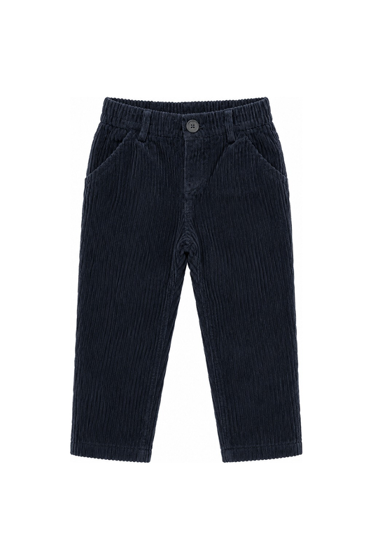 1624 Pantalone Velluto